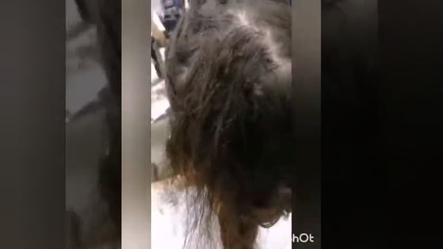 Распутывание колтунов. Спасаем Ваши волосы! смотреть онлайн