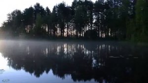 Карелия Лидия Клемент