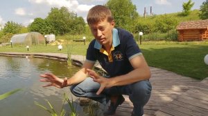 Копаем растения для пруда на реке. Водная мята. Частуха. Осока.