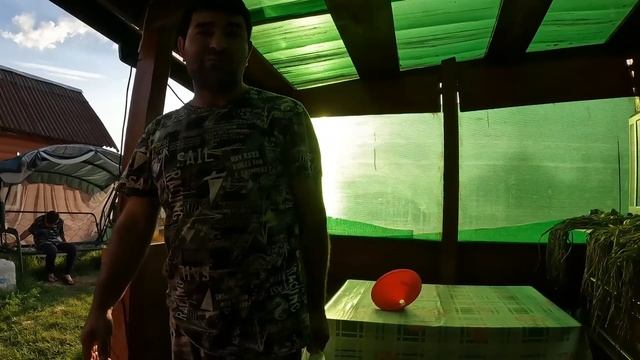 Цыплята очень выросли. Дачные дела. Поход за мороженым. смотреть онлайн