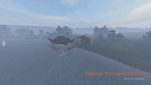 Сервер “Уютный dayz PVE”