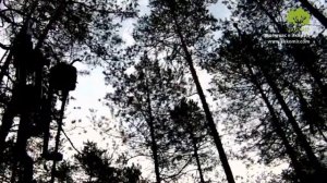 Охота на глухаря с луком