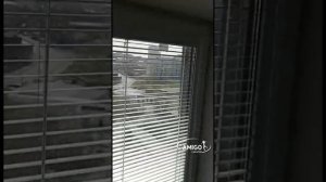 Горизонтальные жалюзи ВЕНУС