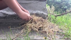 РАЗЖЁГ костёр БЕЗ СПИЧЕК И ЗАЖИГАЛОК