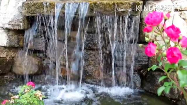 САМЫЕ КРАСИВЫЕ ЦВЕТЫ РОЗЫ?Музыка для Души| Видео с Розами для Вдохновения и Настроения!??ПОСМОТРИТЕ