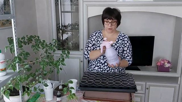 Гномы в огороде! Сеем томаты. смотреть онлайн