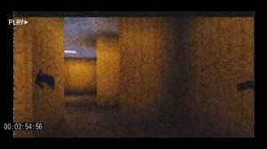 The Backrooms (Found Footage) [Minecraft]