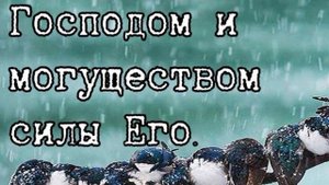 20230314_201832360.jpg_play.mp4_logo_RU.mp4