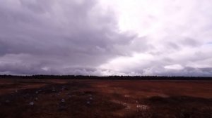 Охота на гуся.Республика Коми.2021г.