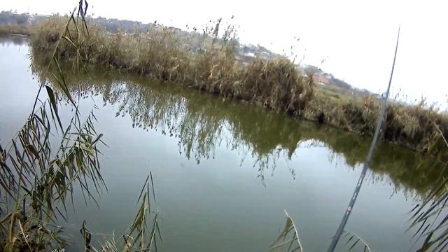 Такой рыбалки на Щуку вы ещё не видели. КАК ПОЙМАТЬ ЩУКУ В НОЯБРЕ!!! Рыбалка в Ростове на Дону