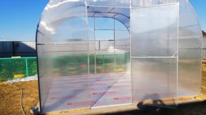 Теплица под бассейн! Своими руками!