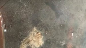 Выхлоп с отстрелом
