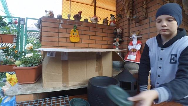 гнезда для голубей (посылка из России) смотреть онлайн