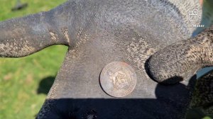 Коп в Англии Старая ЗОЛОТАЯ монета и ДИНОЗАВРЫ Metal detecting Uk Old GOLD COIN and DINOSAURS