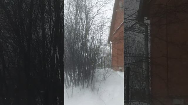 ☼Помогаем помощникам сада зимой.Если начали кормить птиц. То это надо делать постоянно до весны. смотреть онлайн