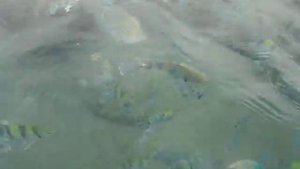 Рыбалка в Красном море