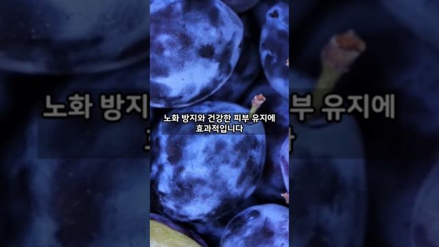 건강에 좋은 과일, 자두의 효능! 맛있고 몸에 좋은 과일, 자두!!