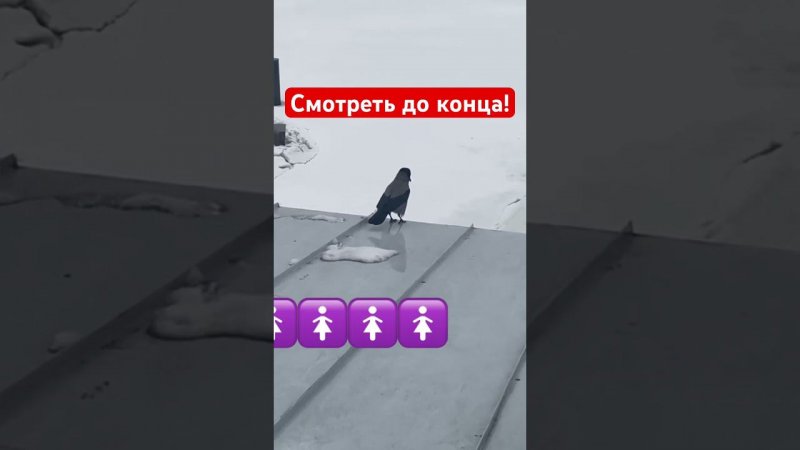 Смотреть до конца!