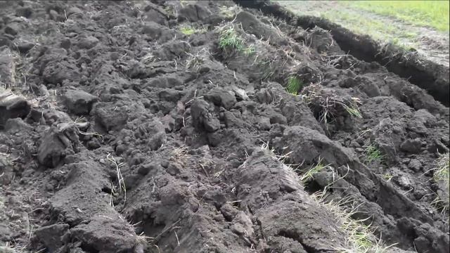 Т-150 & ПЛАНТАЖНЫЙ ПЛУГ Пахота целины (после сада) смотреть онлайн