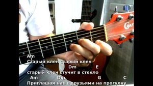Старый клен. Текст песни, аккорды, разбор.