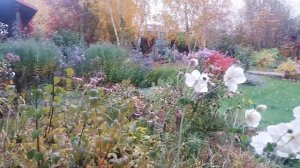 Сад  ландшафтного дизайнера-Ивановой Марины. Осень.