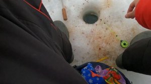 ?зимняя рыбалка?плотва. подлещик?ловля на коромысло?