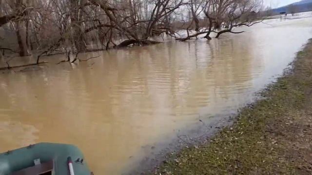 р. Алтай с.Озеро-Куреево. Половодье 2021г. Часть 2 смотреть онлайн