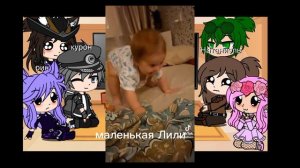 °•{реакция жителей земли королей(игры дурака)на правителей}•°