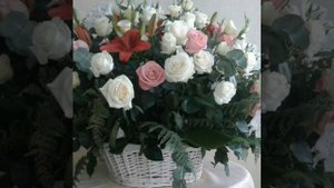 Стефан Ангарец. Мой Сюжет.