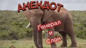 Анекдот про Генерала и Слона??????