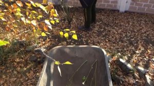 Утепляем счётчик воды. Обрезаем розы.