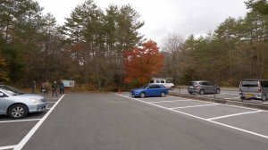 2K・Лес Аокигахара возле горы Фудзи