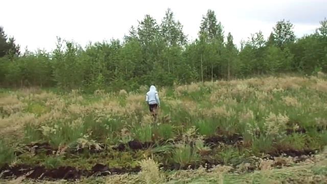 Т-25 сенокос роторной косилкой Agromech смотреть онлайн