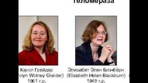 Тайна вечной молодости Голливудских актеров