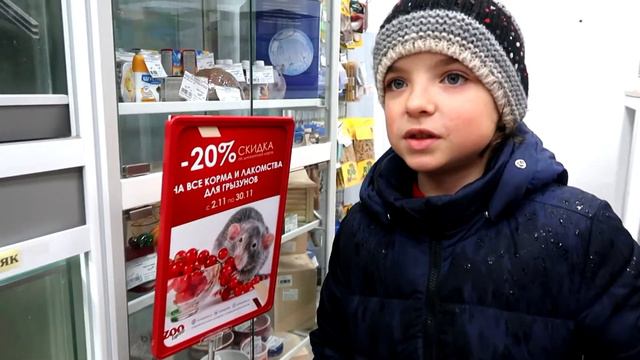 Почему МАМА ХОЧЕТ ВЫБРОСИТЬ ХОМЯКА ? смотреть онлайн