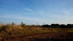 Мотоблок ВЕЙМА з плугом