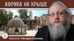 ХРАМ ГРОБА ГОСПОДНЯ #17. Праведный Авраам и Африка на крыше.  Иеромонах Нектарий (Соколов)