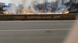 Поле горит!!! Приехали пожарные