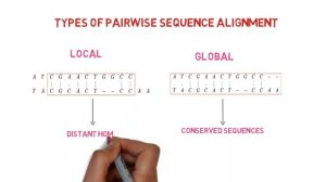 Needlemam Wunsch Algorithm || Dynamic programming || Bioinformatics|| Part #01 (Introduction)