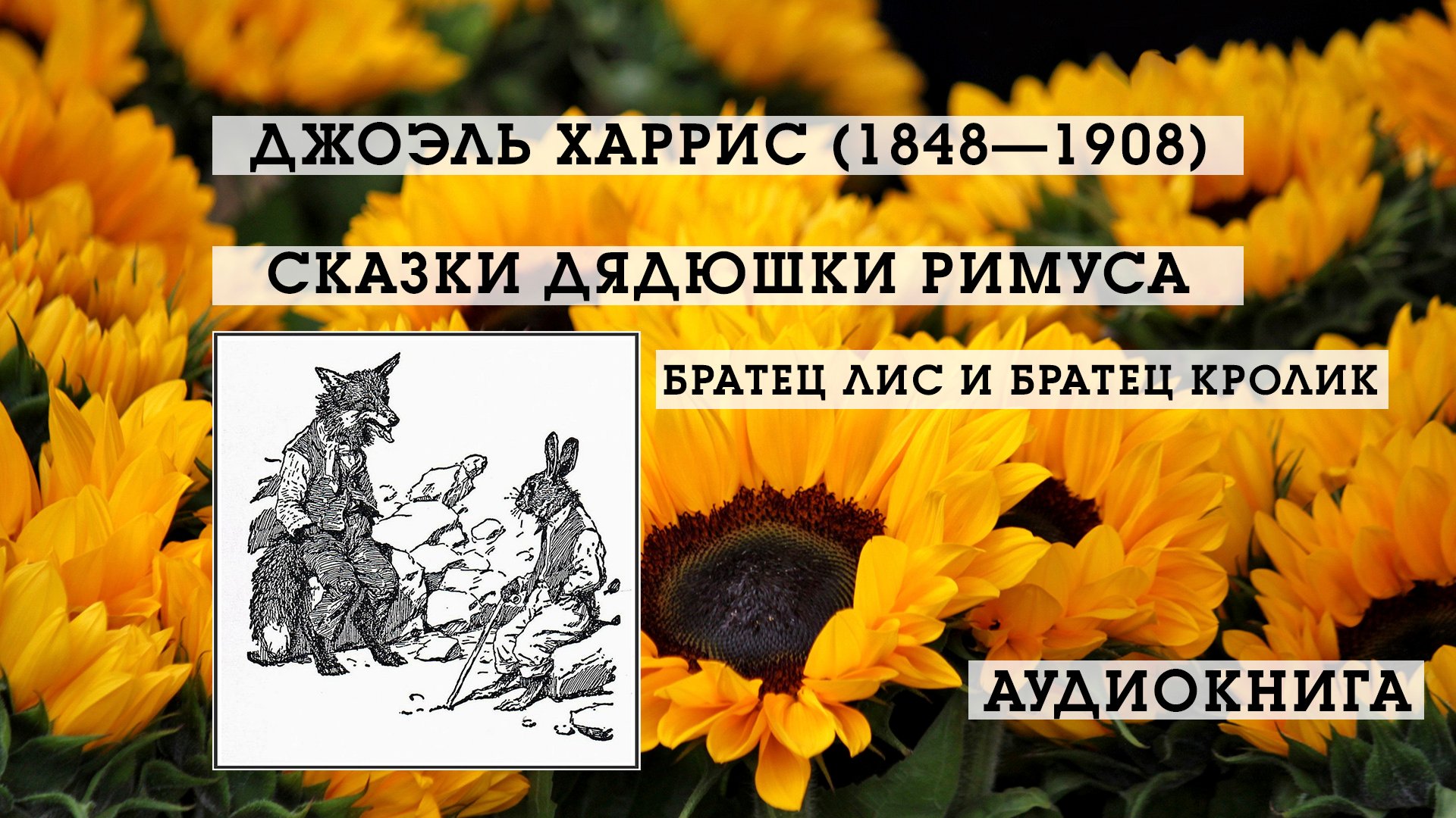 Аудиосказки слушать братец лис. Братцы кролики. перец братец лис отзывы фото.