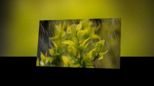 В Окно Летели Одинокие Дожди