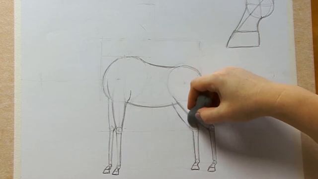 Как нарисовать лошадь карандашом. Поэтапный рисунок.