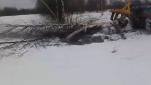Очистка поля от деревьев и мелколесья трактором с корчевателем зимой