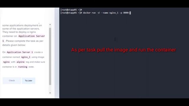 Run a Docker Container