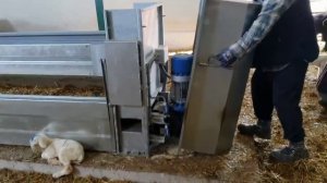 Оборудование для овец коз от Шипмастер- кормовая лента для овец и коз