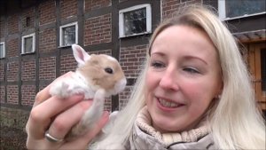 Кроликам 15 дней! Первая реакция кроликов. Крольчиха с маленькими крольчатами. Кролик Рекс окрасы.