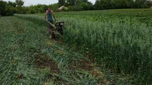 Косилка к мотоблоку Зубр