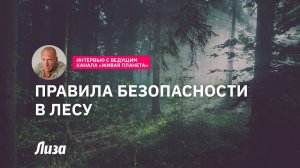 Техника безопасности в лесу