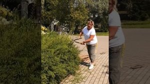 Любовь моя-спирея серая Грифшейм