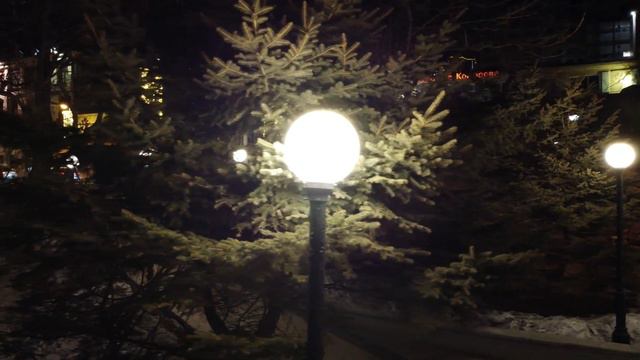 СКВЕР ПОЧЕТНЫХ ГРАЖДАН ВЛАДИВОСТОКА смотреть онлайн